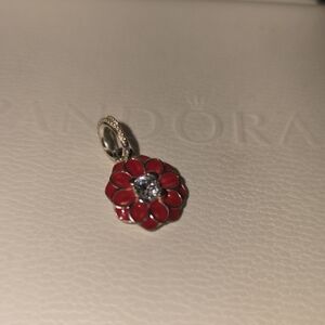 Authentic Pandora Dangle Charm